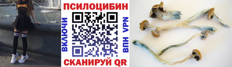 Галлюциногенные грибы MAGIC MUSHROOMS  Мариинск 