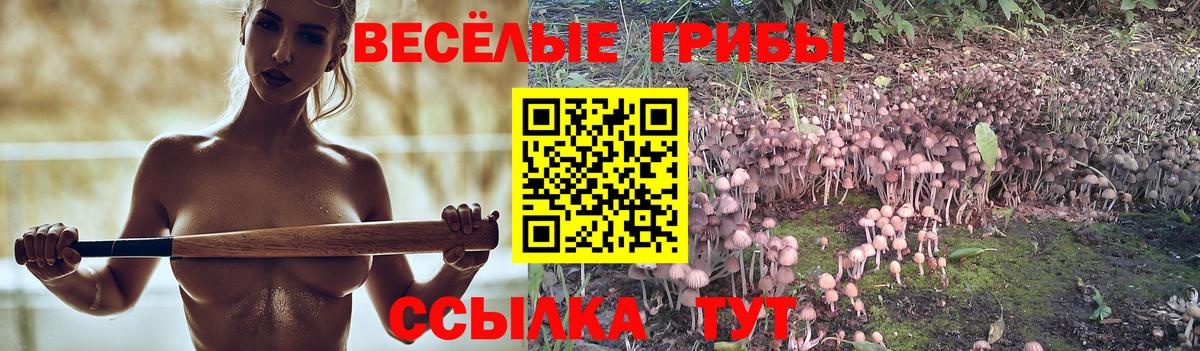 Галлюциногенные грибы Psilocybe  Мариинск 