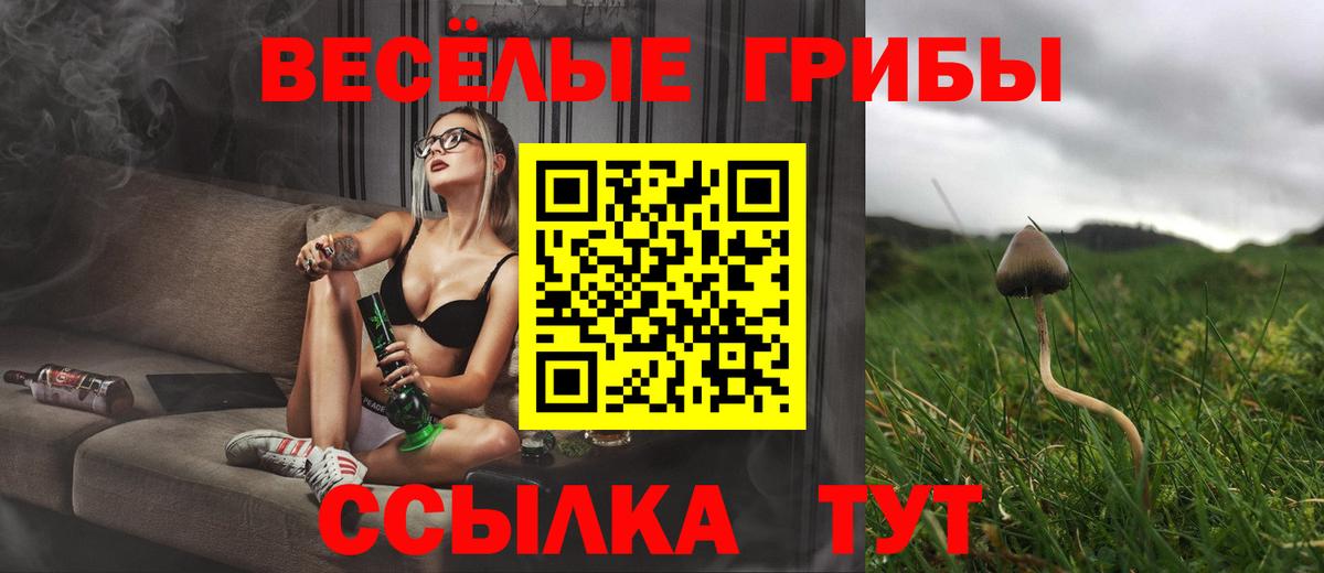 Галлюциногенные грибы GOLDEN TEACHER  Вход с VPN  Мариинск 